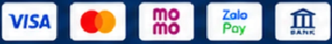 Visa · Mastercard · MoMo · ZaloPay · Chuyển khoản ngân hàng